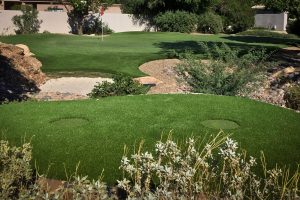 15000583_1216036545119755_4404468900280538882_o