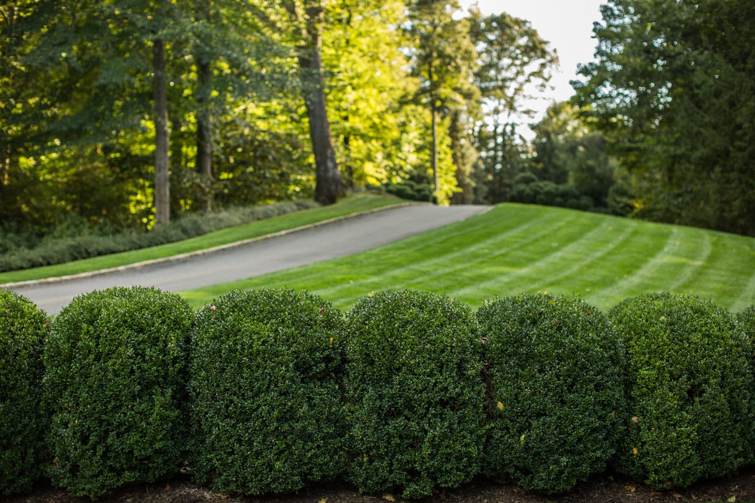 About Us, Total Turf Inc. Westchester County, NY Landscaping