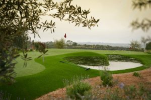 celebrity-puting-green-total-turf