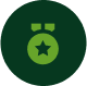 medal-icon medal icon