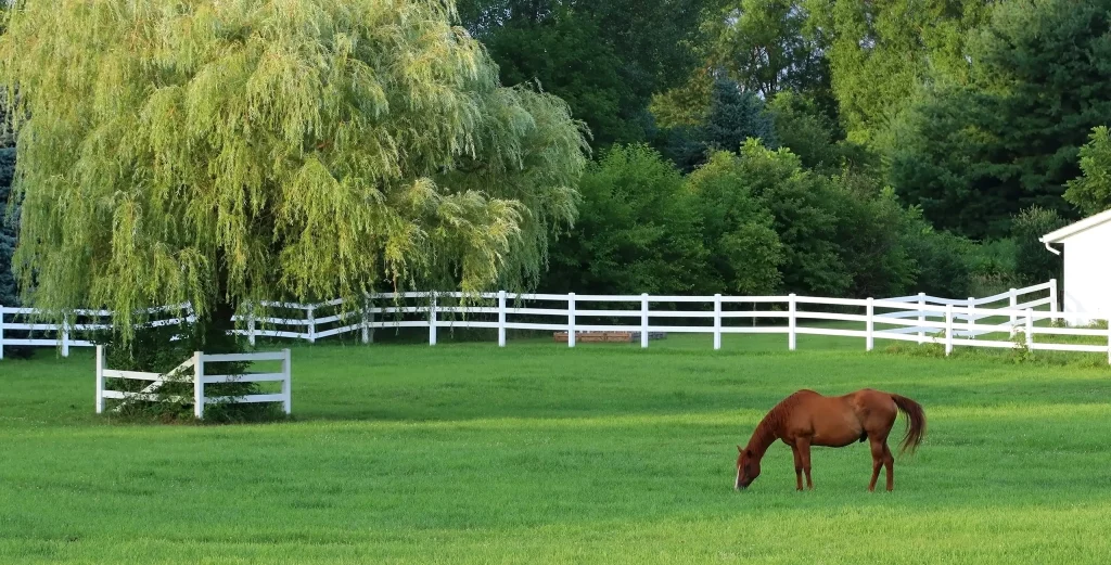 Horse farm landscaping from Total Turf